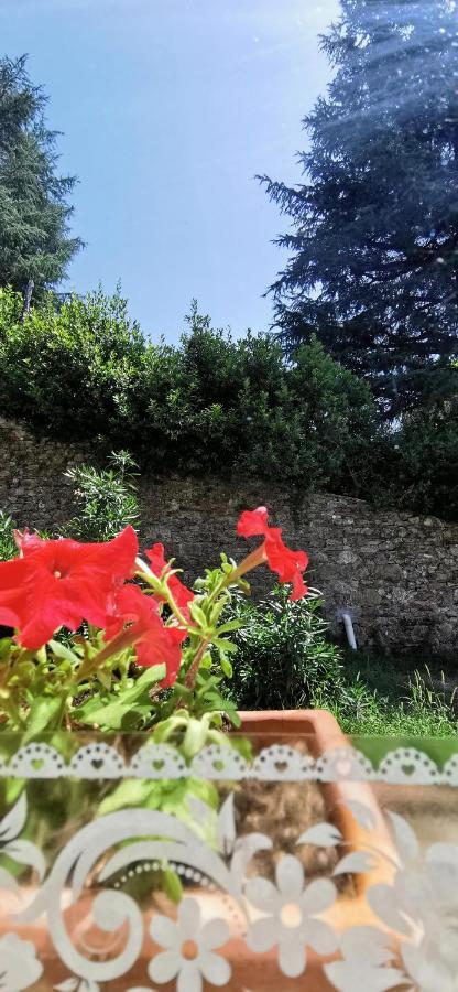 La Maison De Jardin Lukka Zewnętrze zdjęcie
