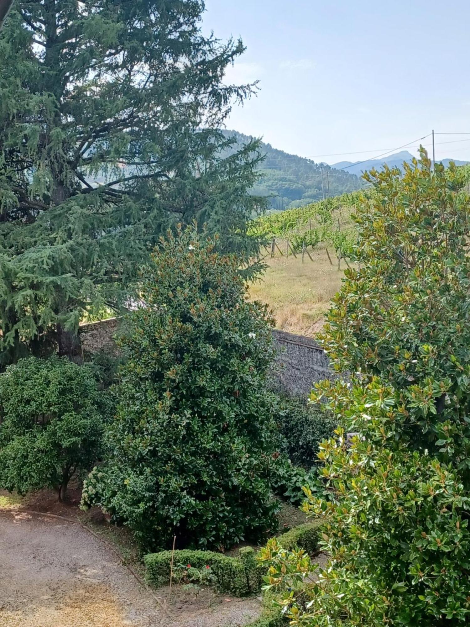 La Maison De Jardin Lukka Zewnętrze zdjęcie